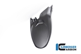 Carbon Ilmberger rear wheel cover Ducati Multistrada V4 PP/RS