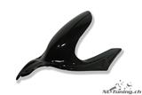 Carbon Ilmberger rear fender Ducati Monster 696