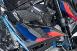 Carbon Ilmberger Winglets rechts BMW M 1000 R