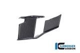 Ailerons en carbone Ilmberger  droite BMW M 1000 R