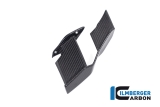 Ailerons en carbone Ilmberger  droite BMW M 1000 R