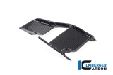 Carbon Ilmberger Winglets rechts BMW M 1000 R