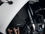 Performance kylargrill Triumph Daytona 660