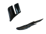 Carbon MotoGP winglets Ducati Streetfighter V4
