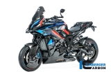 Carbon Ilmberger Kopplingsskydd BMW M 1000 XR