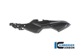 Carbone Ilmberger kit de carnage arrire du cadre BMW M 1000 XR