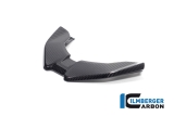 Carbon Ilmberger Framnbb front BMW M 1000 XR