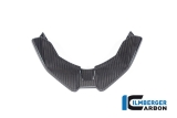 Carbon Ilmberger Framnbb front BMW M 1000 XR