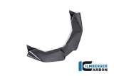 Carbon Ilmberger Framnbb front BMW M 1000 XR