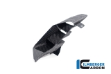 Carbon Ilmberger Winglets p den bakre kpan uppsttning BMW M 1000 XR