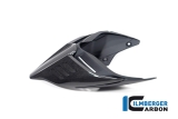 Carbon Ilmberger Ducati rear fairing Monoposto Special Ducati Streetfighter V4