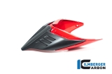 Carbon Ilmberger Ducati rear fairing Monoposto Special Ducati Streetfighter V4