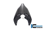 Carbon Ilmberger Ducati rear fairing Monoposto Special Ducati Streetfighter V4