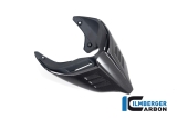 Carbon Ilmberger Ducati rear fairing Monoposto Special Ducati Streetfighter V4