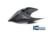 Carbon Ilmberger Ducati rear fairing Monoposto Special Ducati Streetfighter V4