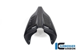 Carbon Ilmberger Ducati rear fairing Monoposto Special Ducati Streetfighter V4