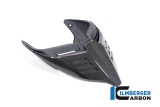 Carbon Ilmberger Ducati rear fairing Monoposto Special Ducati Streetfighter V4
