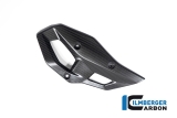 Carbon Ilmberger heel protection set BMW R 1300 GS