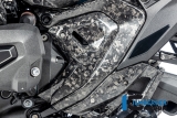 Carbone Ilmberger kit de protection du triangle du cadre BMW R 1300 GS