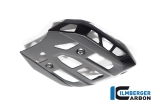 Carbon Ilmberger motorbeschermer onderkant BMW R 1300 GS