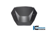 Parabrezza Carbon Ilmberger BMW R 1300 GS