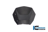 Parabrezza Carbon Ilmberger BMW R 1300 GS