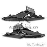 Paneles traseros de carbono Ilmberger BMW S 1000 R