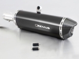 Auspuff Remus Zwarte Havik BMW F 650 GS