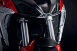 Performance K�hlerschutzgitter und Motorschutz Ducati Multistrada V4