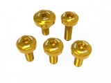 Ducabike Tank cover screws set Ducati Panigale V4