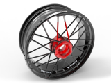 Jonich Speichenfelgen Einarmschwinge Ducati Panigale 1299