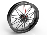 Jonich Speichenfelgen Einarmschwinge Ducati Panigale 1299