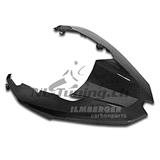 Pico delantero Ilmberger carbono BMW R 1200 GS