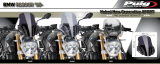 Puig sportscherm BMW R 1200 R