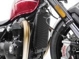 Performance kylarskydd Triumph Speed Twin 1200