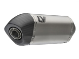 Auspuff Leo Vince LV-14 BMW F 800 GS