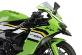 Puig MotoGP Winglets  Kawasaki Ninja ZX-6R