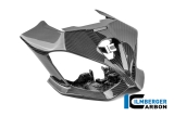 Carbon Ilmberger Lichtmaskenkit Carbon BMW S 1000 R