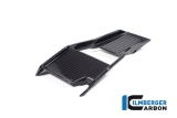 Carbon Ilmberger Winglets Set BMW S 1000 R