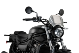 Puig Frontplatte Aluminium  Kawasaki Z650RS