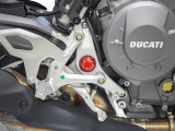 Ducabike Rahmenkappen Set Ducati Panigale V2