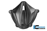 Carbon Ilmberger Cubre instrumentos Ducati Panigale V4