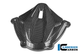 Carbon Ilmberger Instrumenten Abdeckung Ducati Panigale V4
