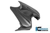 Carbon Ilmberger Abdeckung am Tank Ducati Panigale V4
