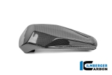 Carbon Ilmberger Instrumenten Abdeckung  Ducati Streetfighter V4