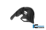 Carbon Ilmberger Auspuffhitzeschutz  Ducati Streetfighter V4