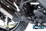 Carbon Ilmberger Protezione termica dello scarico anteriore BMW R 1300 R avanti