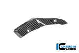 Carbon Ilmberger Fersensch�tzer BMW R 1300 R