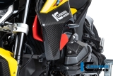 Carbon Ilmberger Air outlet cover BMW R 1300 R