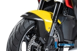 Carbon Ilmberger Vorderradabdeckung BMW R 1300 R
